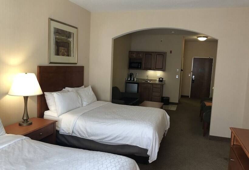 Люкс, Holiday Inn Express Hotel & Suites Lansing Dimondale, An Ihg