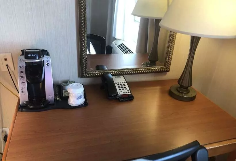 スイート, Holiday Inn Express Hotel & Suites Lansing Dimondale, An Ihg