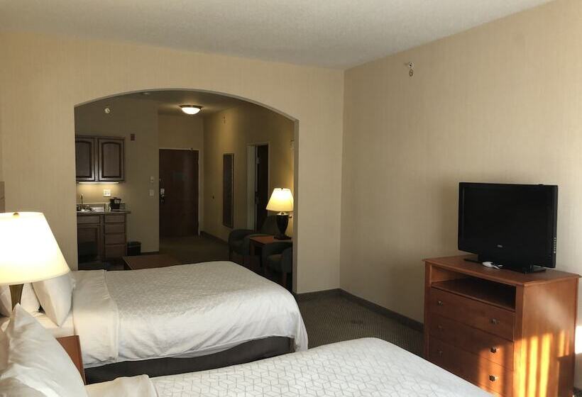 جناح, Holiday Inn Express Hotel & Suites Lansing Dimondale, An Ihg