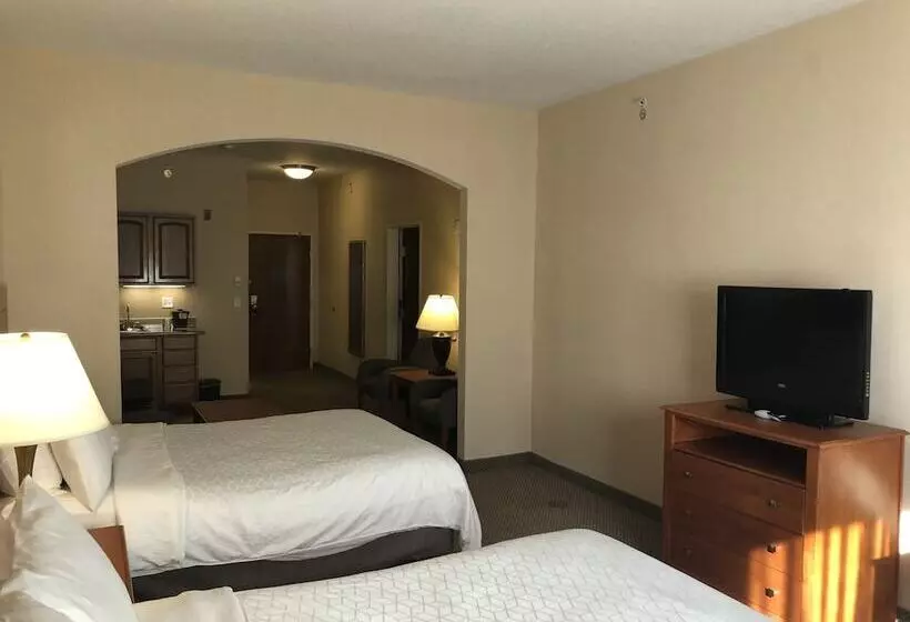 スイート, Holiday Inn Express Hotel & Suites Lansing Dimondale, An Ihg