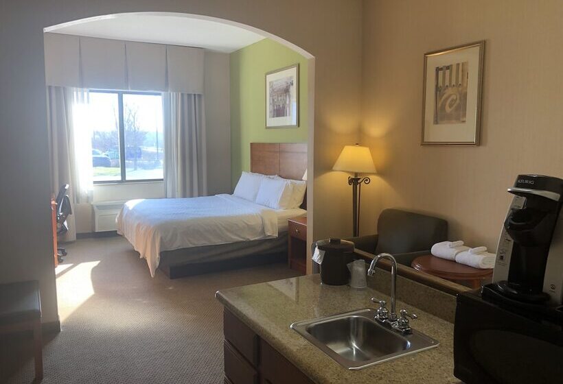Люкс, Holiday Inn Express Hotel & Suites Lansing Dimondale, An Ihg