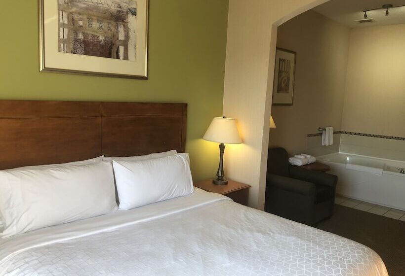 جناح, Holiday Inn Express Hotel & Suites Lansing Dimondale, An Ihg