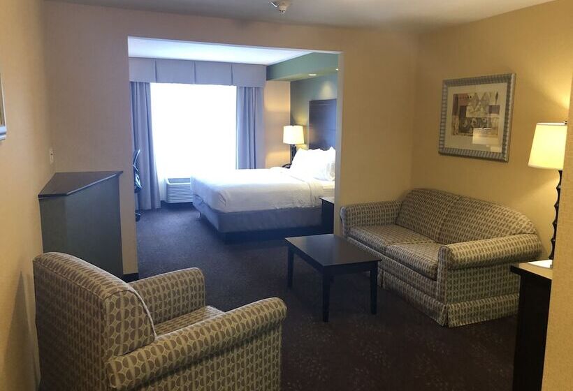 Люкс, Holiday Inn Express Hotel & Suites Lansing Dimondale, An Ihg