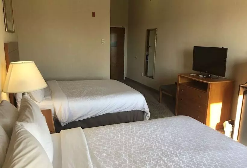 スタンダードルーム, Holiday Inn Express Hotel & Suites Lansing Dimondale, An Ihg