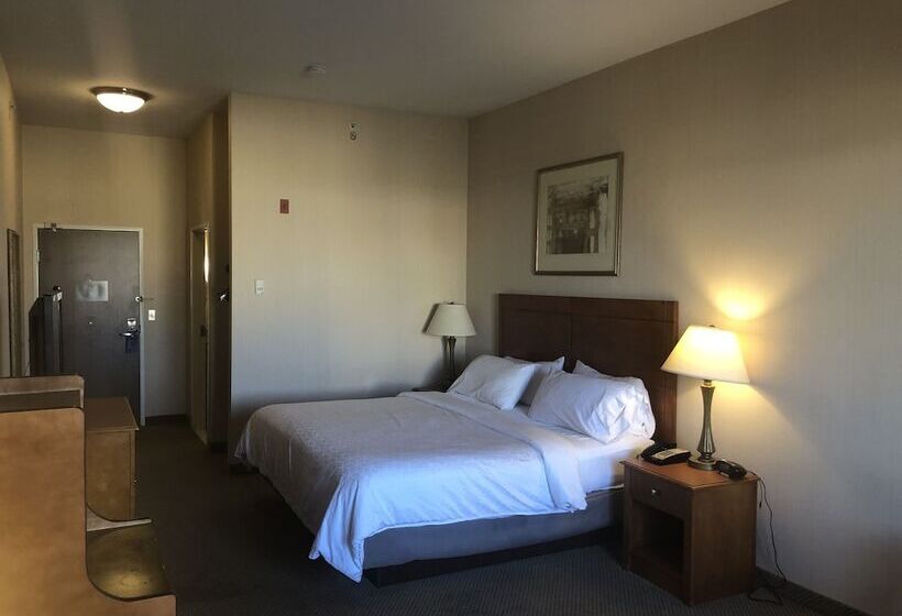 Номер Стандарт, Holiday Inn Express Hotel & Suites Lansing Dimondale, An Ihg
