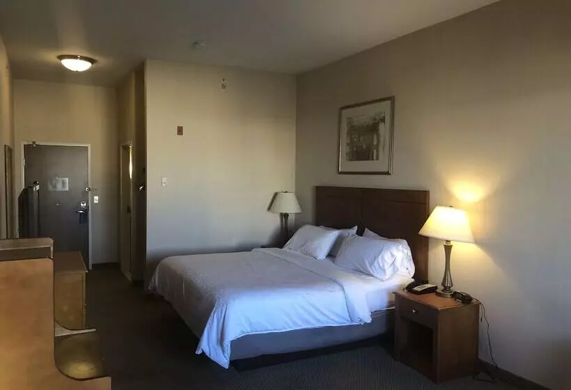 スタンダードルーム, Holiday Inn Express Hotel & Suites Lansing Dimondale, An Ihg