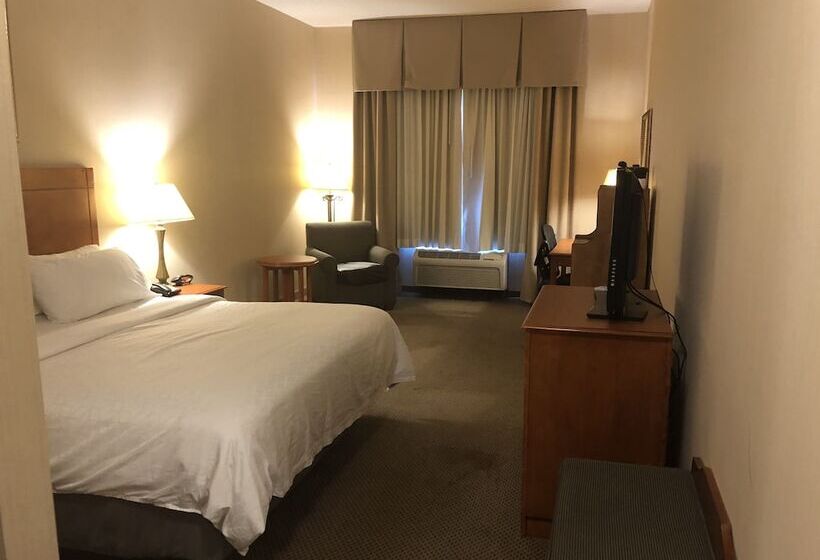 غرفة قياسية, Holiday Inn Express Hotel & Suites Lansing Dimondale, An Ihg