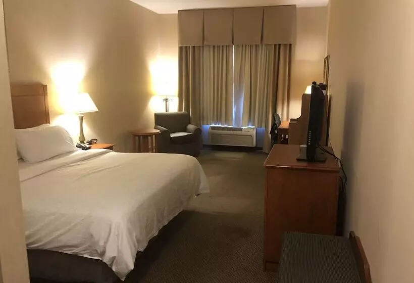 スタンダードルーム, Holiday Inn Express Hotel & Suites Lansing Dimondale, An Ihg