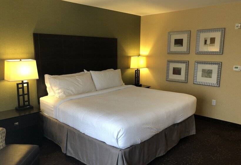 غرفة قياسية, Holiday Inn Express Hotel & Suites Lansing Dimondale, An Ihg