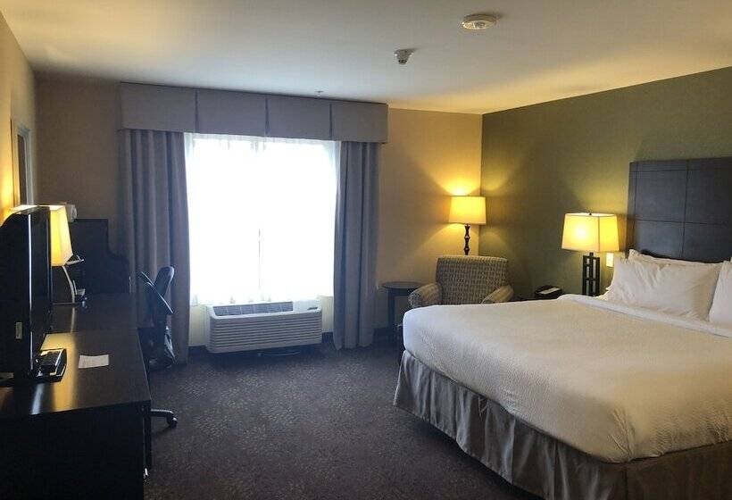 غرفة قياسية, Holiday Inn Express Hotel & Suites Lansing Dimondale, An Ihg