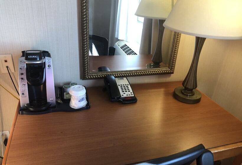 غرفة قياسية, Holiday Inn Express Hotel & Suites Lansing Dimondale, An Ihg