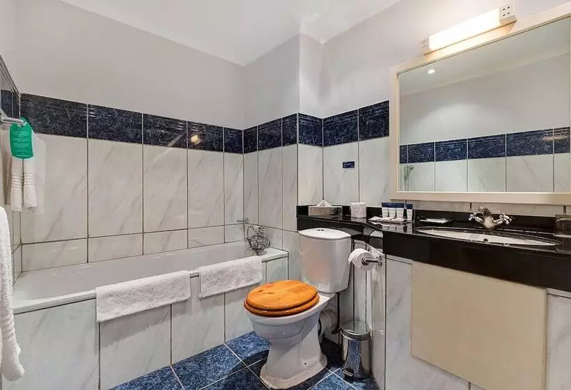 اتاق استاندارد با چشم‌انداز باغ, Protea Hotel By Marriott Chingola