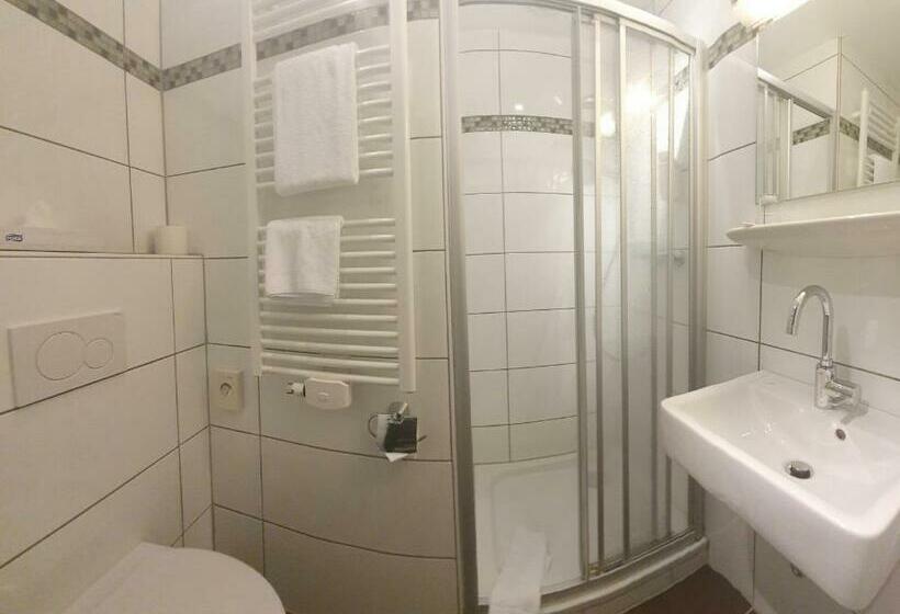 Номер Economy Индивидуальный, Akzent Hotel Merfelder Hof