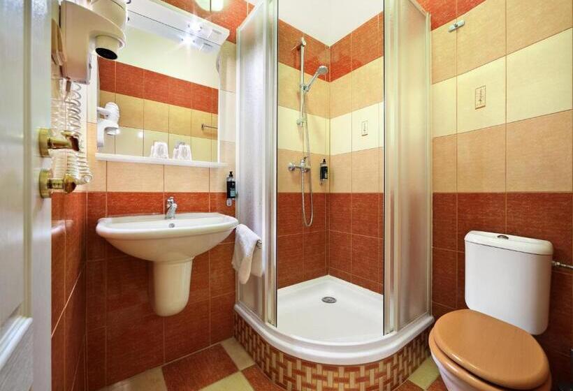 اتاق استاندارد یک نفره, Salvator