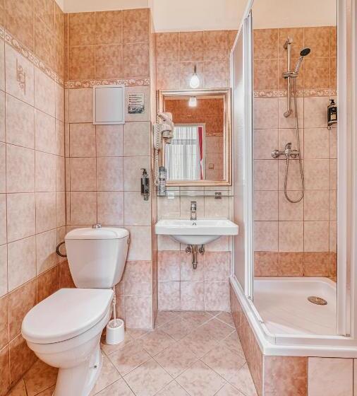 آپارتمان 1 خوابه, Salvator