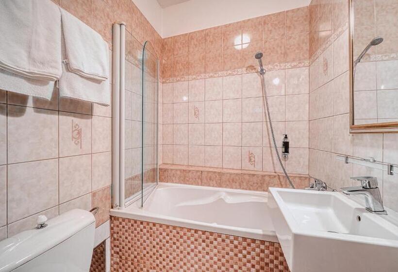 آپارتمان 1 خوابه, Salvator