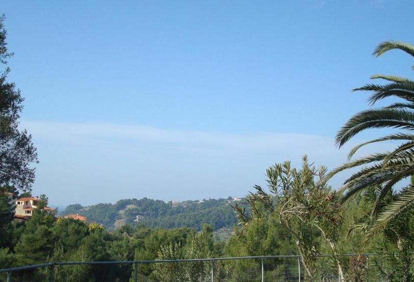 חדר סטנדרט, Thea