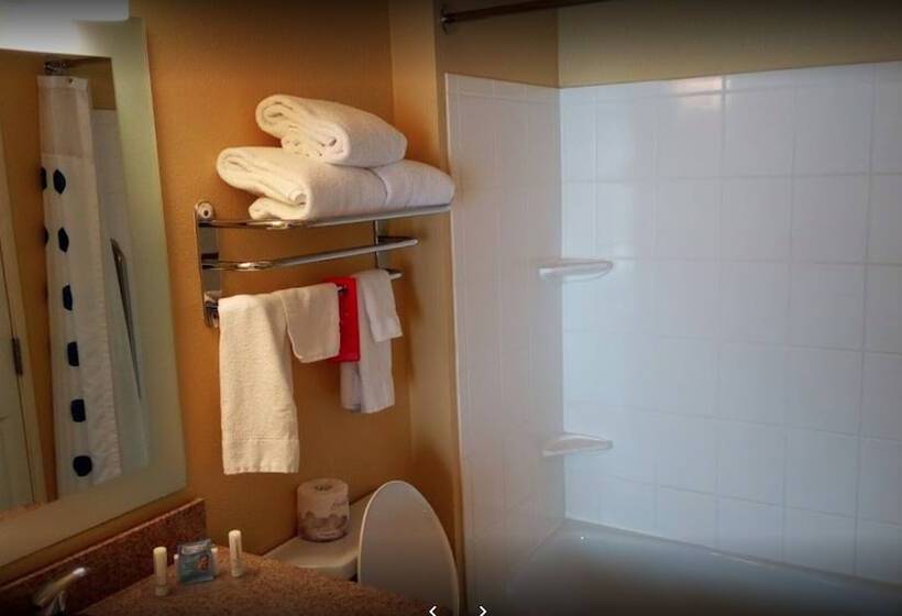 이그제큐티브 스위트, Towneplace Suites Dallas Desoto