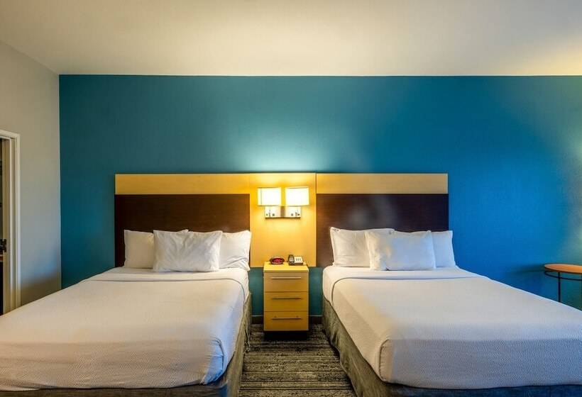 이그제큐티브 스위트, Towneplace Suites Dallas Desoto