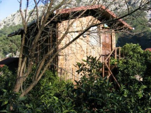 بانگلوی استاندارد, Bayrams Tree Houses