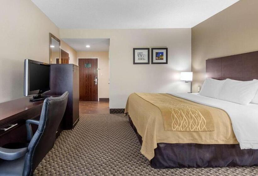 스탠다드 룸 킹사이즈 침대, Comfort Inn Horn Lake   Southaven