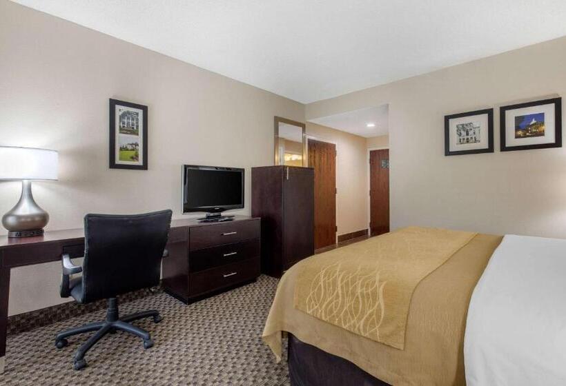 스탠다드 룸 킹사이즈 침대, Comfort Inn Horn Lake   Southaven