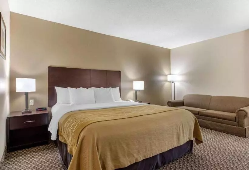 キングサイズベッドのスタンダードルーム, Comfort Inn Horn Lake   Southaven