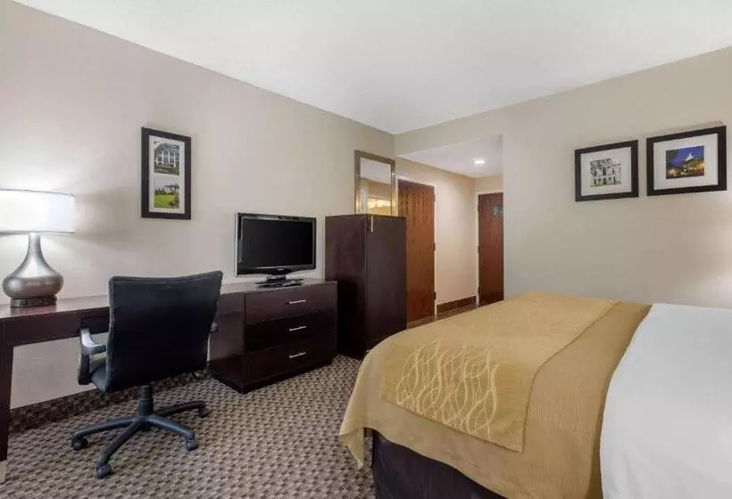 身障者適用キングサイズベッドルーム, Comfort Inn Horn Lake   Southaven