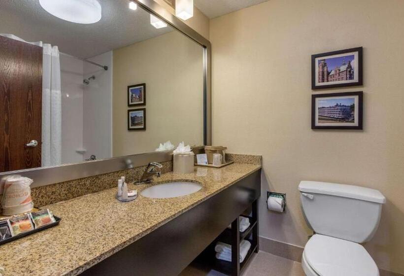 适合残疾人士使用的带超级大床的标准间, Comfort Inn Horn Lake   Southaven