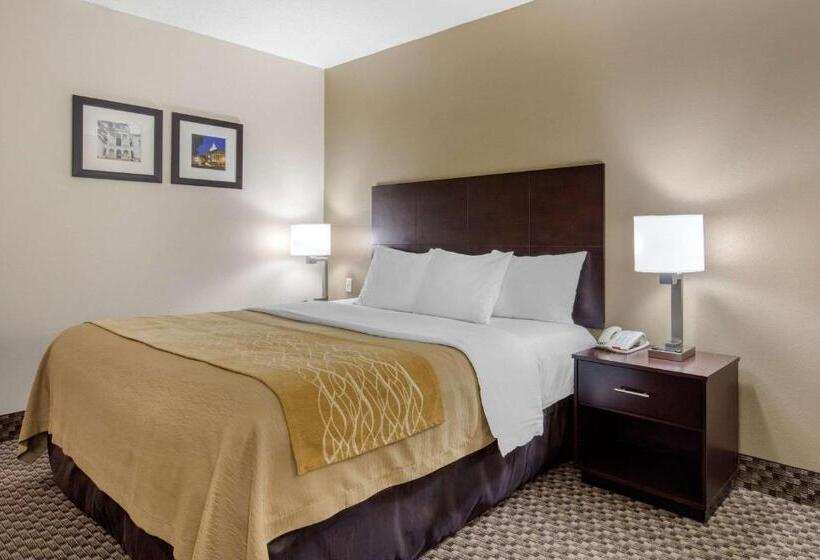 장애인을 위한 킹사이즈 침대 스탠다드 룸, Comfort Inn Horn Lake   Southaven