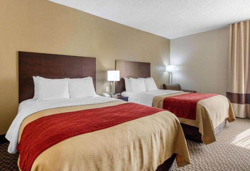 장애인을 위한 스탠다드 룸, Comfort Inn Horn Lake   Southaven