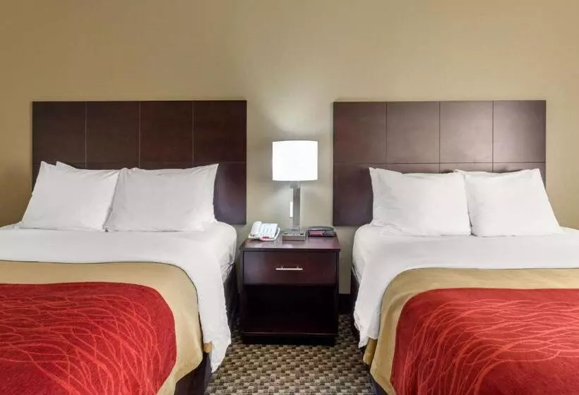 身障者適用スタンダードルーム, Comfort Inn Horn Lake   Southaven