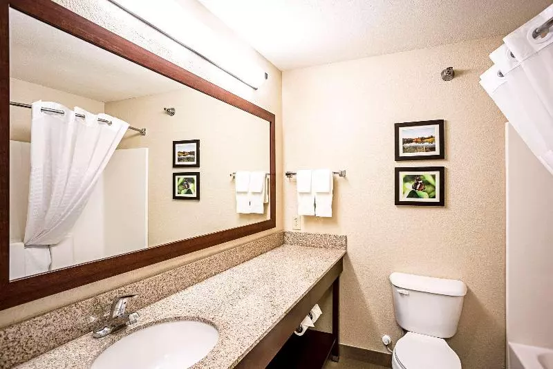 キングサイズベッドのスイートルーム, Comfort Inn & Suites Independence