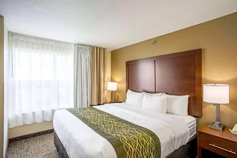 キングサイズベッドのスイートルーム, Comfort Inn & Suites Independence