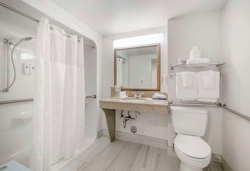 Люкс Адаптированный для Инвалидов, Comfort Inn & Suites Lake George