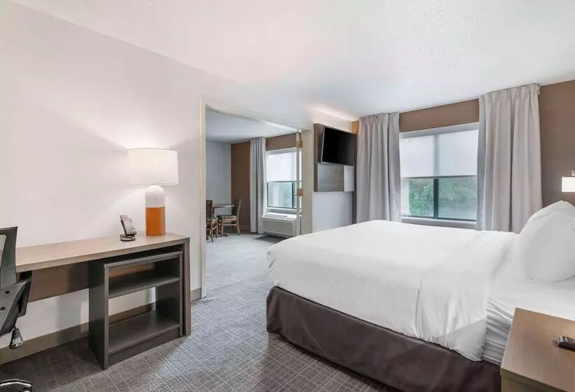 身障者適用スイートルーム, Comfort Inn & Suites Lake George
