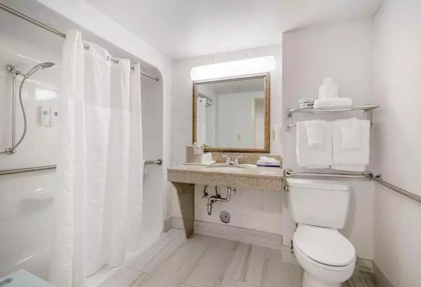 身障者適用キングサイズベッドルーム, Comfort Inn & Suites Lake George