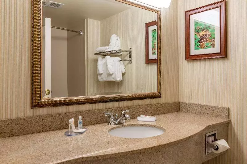 キングサイズベッドのスタンダードルーム, Comfort Inn & Suites Lake George