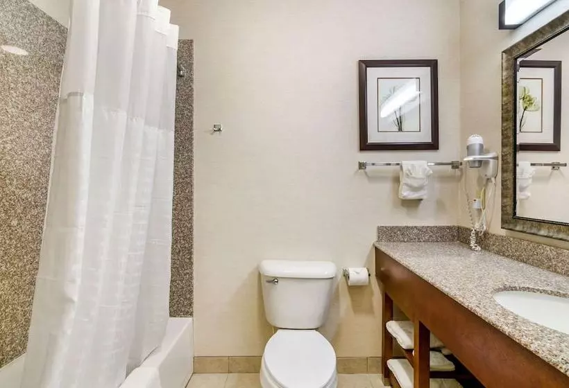 スイート, Comfort Inn & Suites Near Bethel College