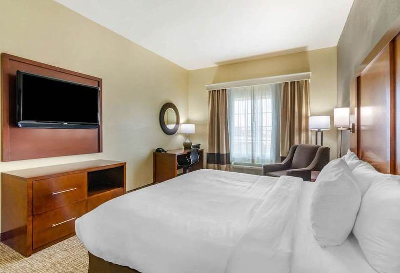 Люкс, Comfort Inn & Suites Near Bethel College