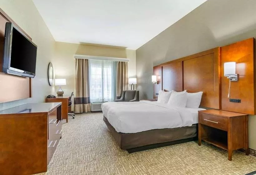 スイート, Comfort Inn & Suites Near Bethel College
