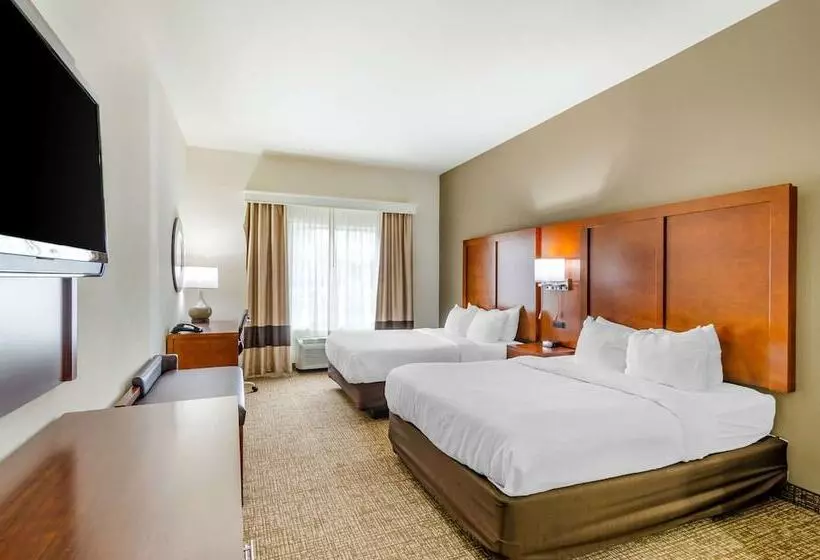 スイート, Comfort Inn & Suites Near Bethel College