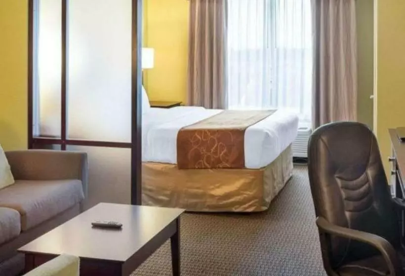 キングサイズベッドのスイートルーム, Comfort Suites Harvey   New Orleans West