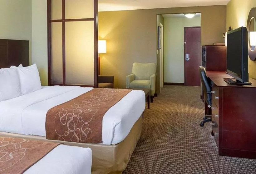 スイート, Comfort Suites Harvey   New Orleans West