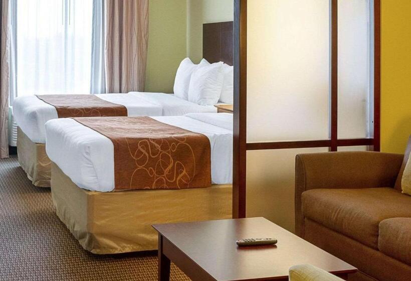 סוויטה מותאמת לאדם עם מוגבלויות, Comfort Suites Harvey   New Orleans West