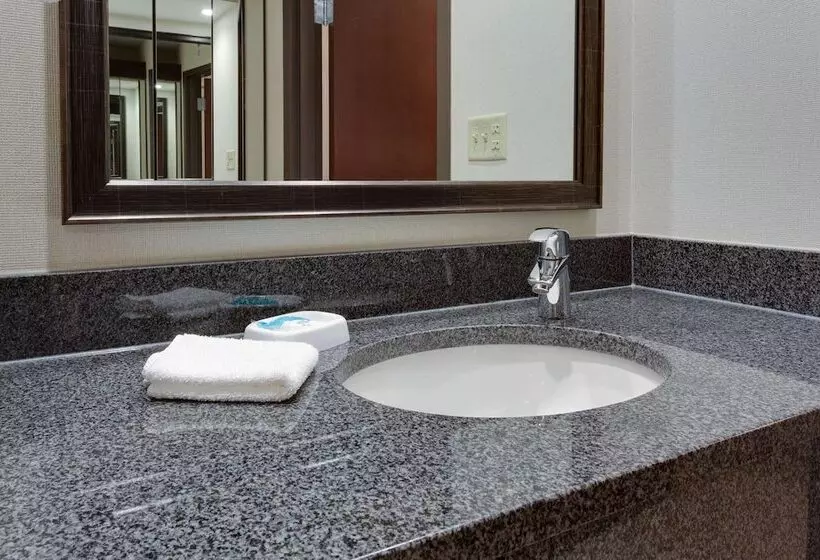 デラックスルーム, Drury Inn & Suites Denver Tech Center