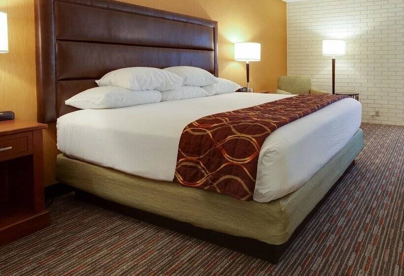 Camera Deluxe, Drury Inn & Suites Denver Tech Center