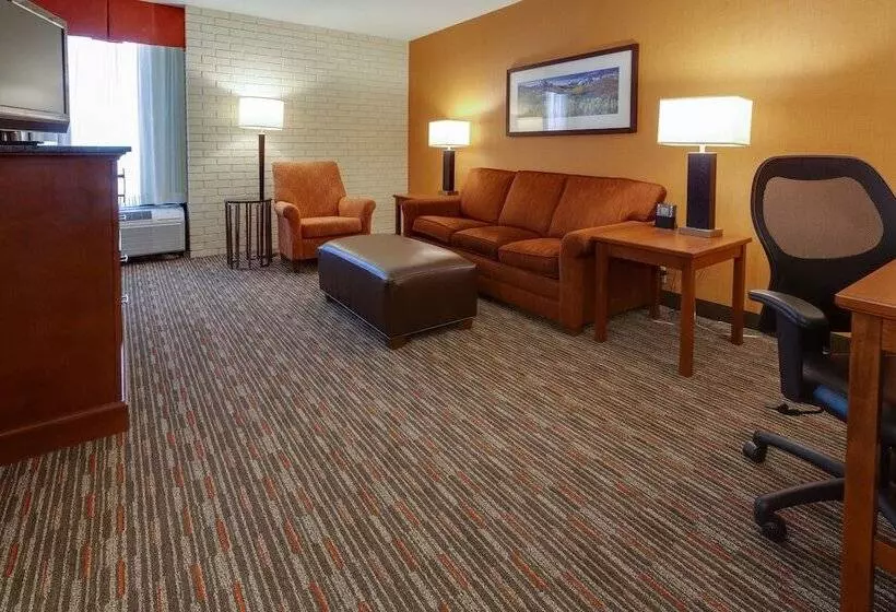 スイート, Drury Inn & Suites Denver Tech Center