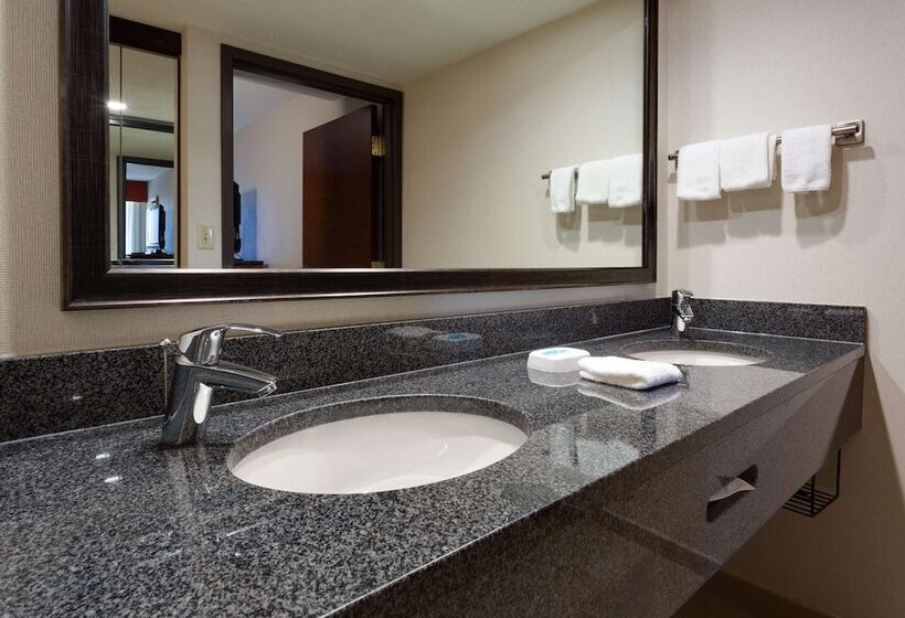 Suite, Drury Inn & Suites Denver Tech Center