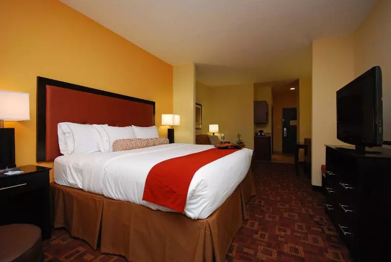 スタンダードルーム, Holiday Inn Express & Suites Gonzales, An Ihg